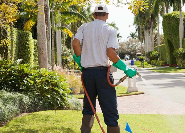 About Huggins MO Pest Control